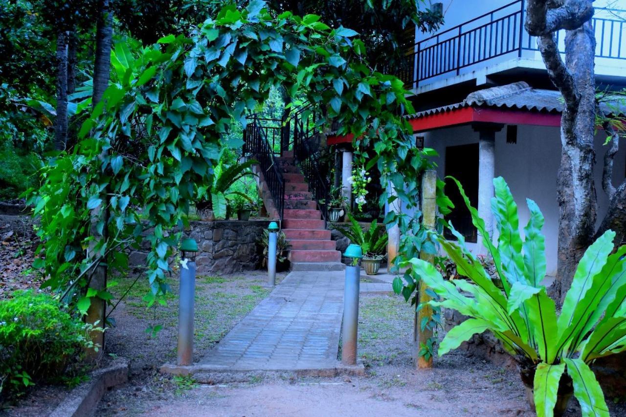 Wild Heaven Udawalawe Otel Dış mekan fotoğraf