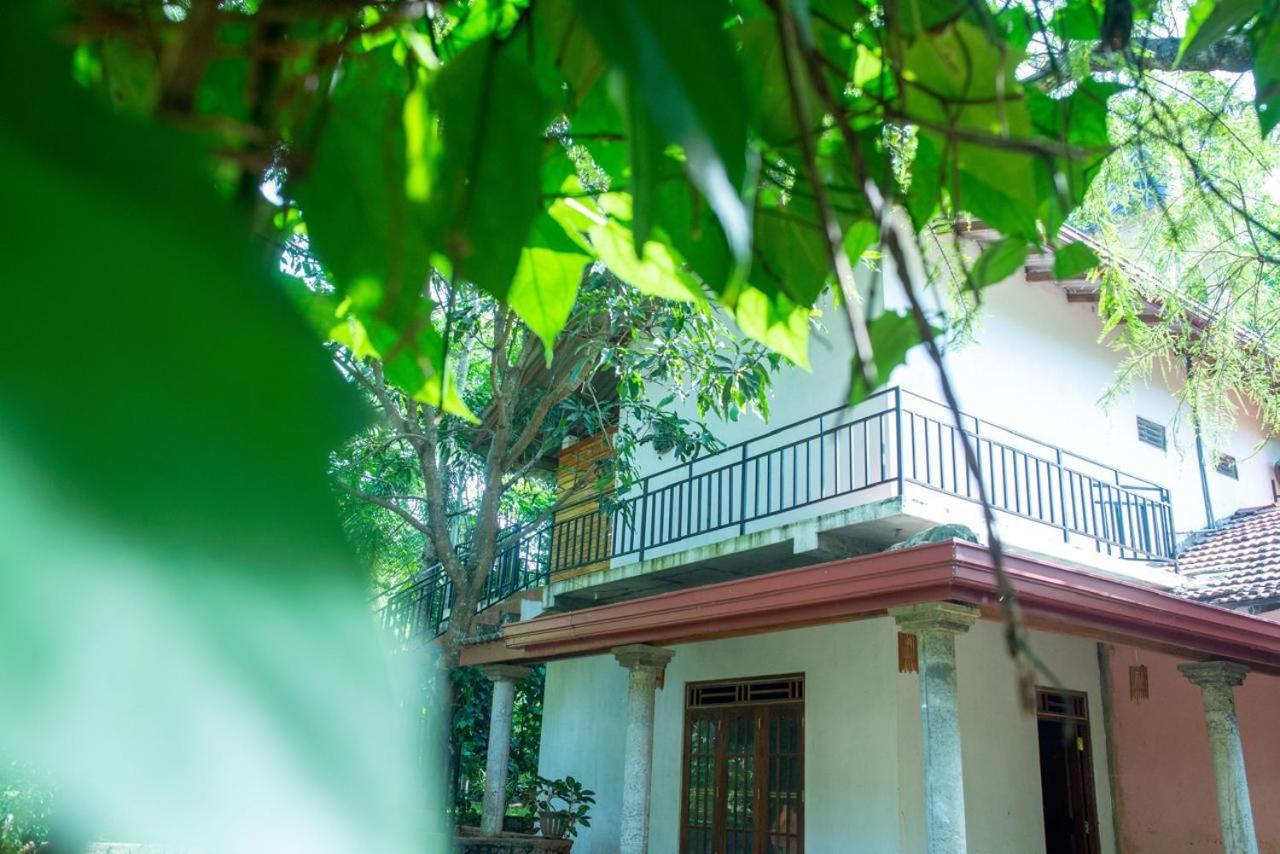 Wild Heaven Udawalawe Otel Dış mekan fotoğraf