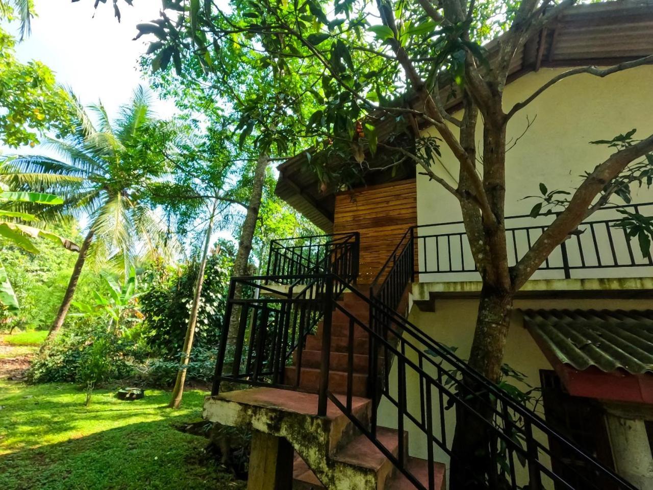 Wild Heaven Udawalawe Otel Dış mekan fotoğraf