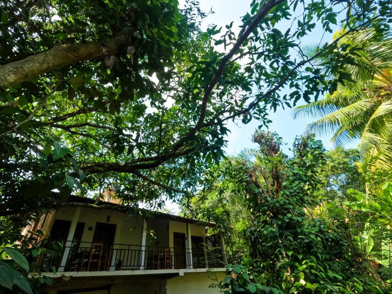 Wild Heaven Udawalawe Otel Dış mekan fotoğraf