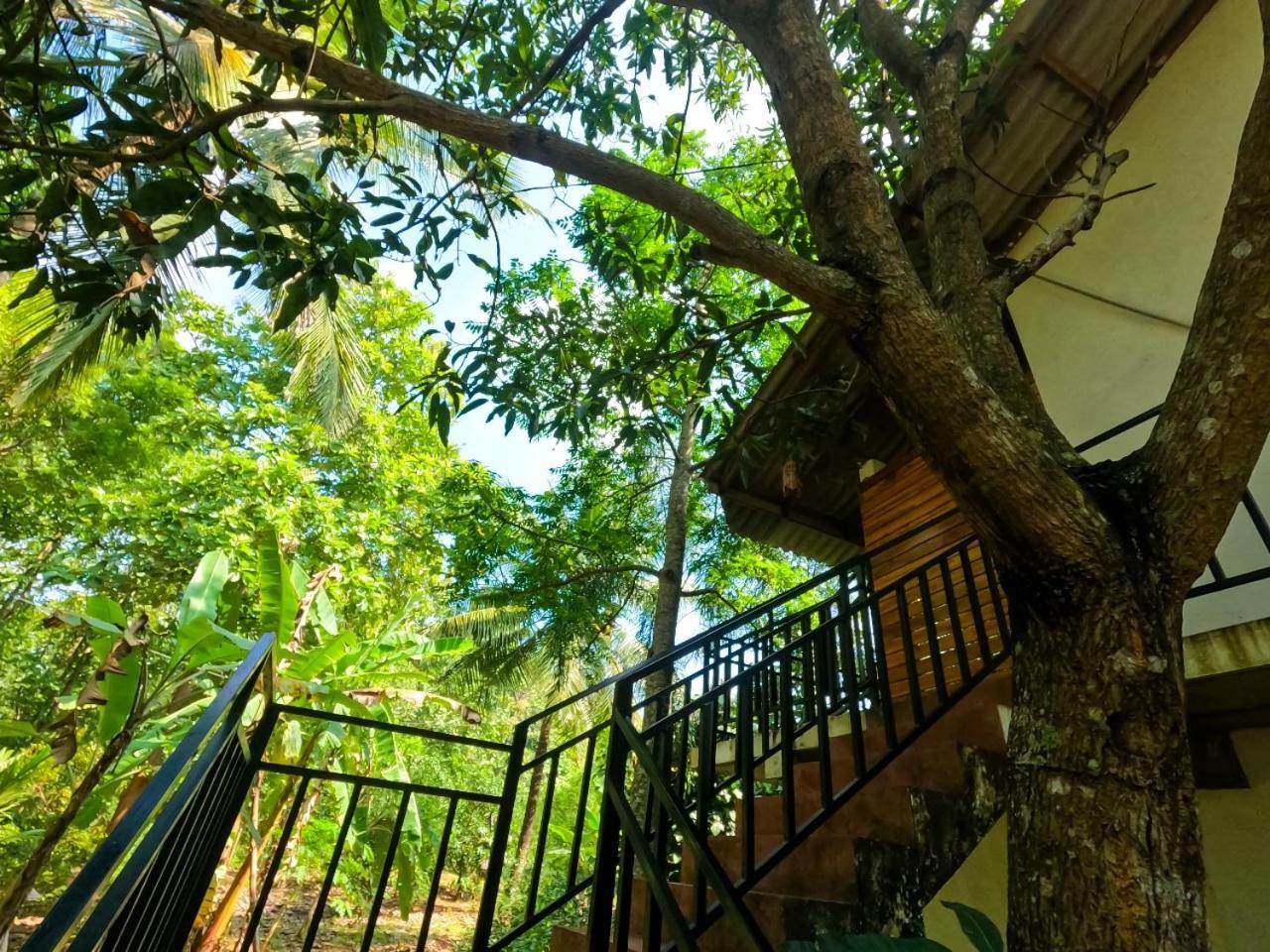 Wild Heaven Udawalawe Otel Dış mekan fotoğraf