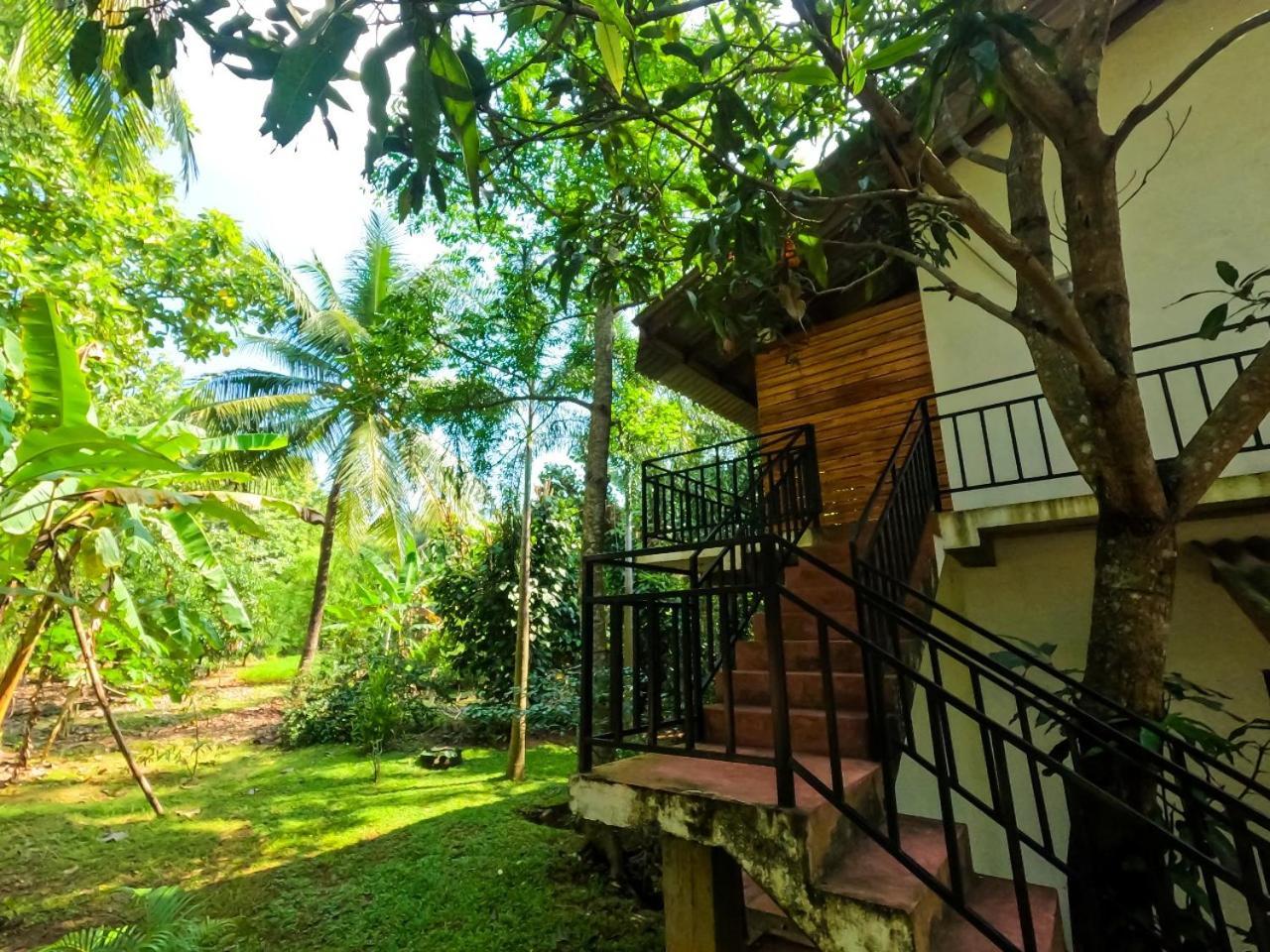 Wild Heaven Udawalawe Otel Dış mekan fotoğraf