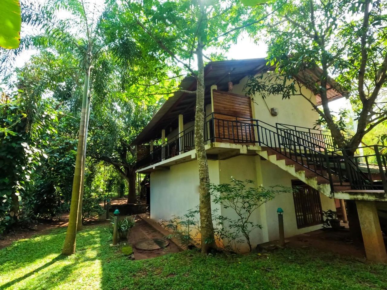 Wild Heaven Udawalawe Otel Dış mekan fotoğraf